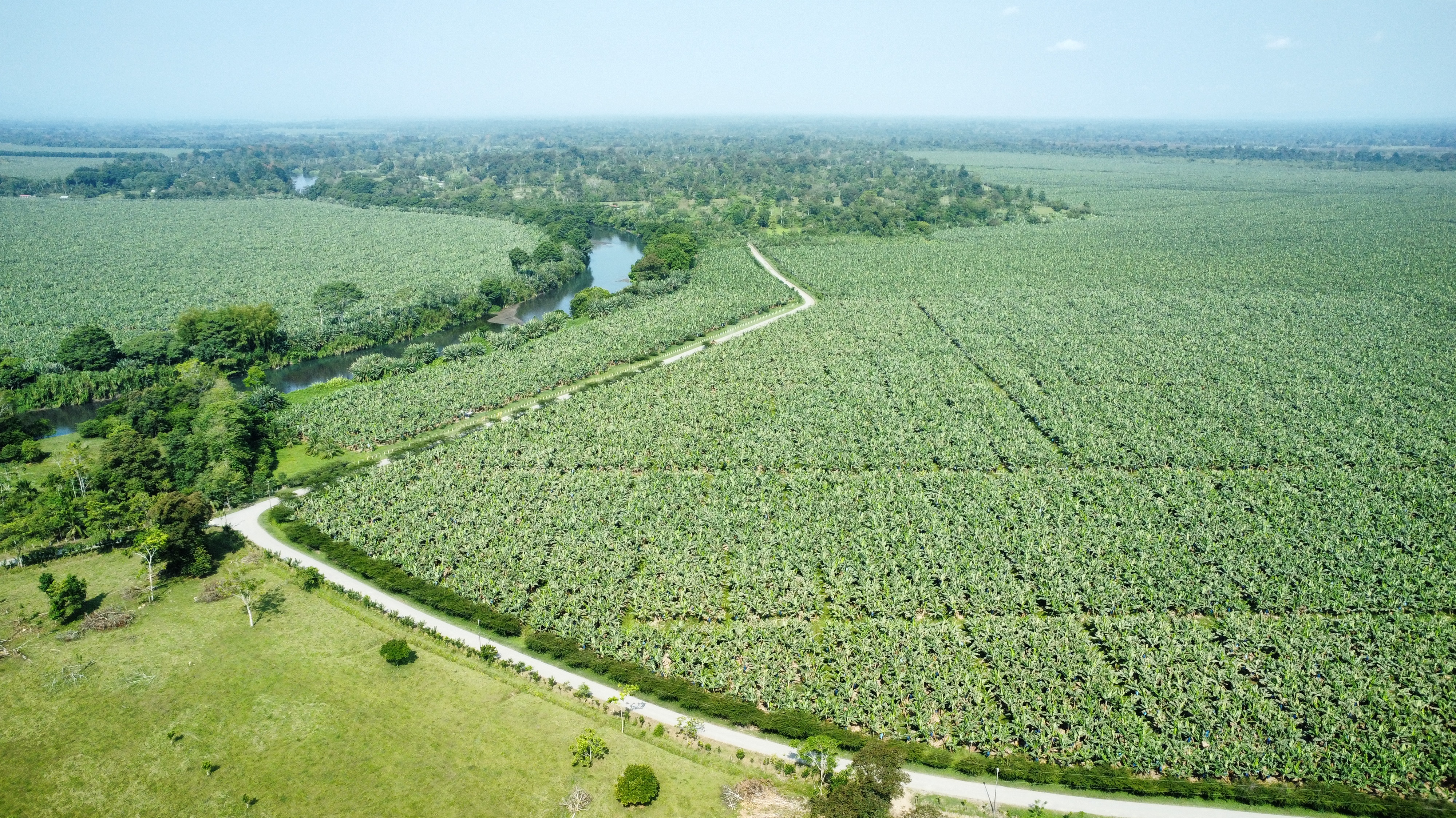 Plantaciones Aproveco
